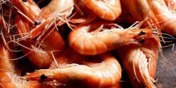 Crevettes en Tunisie : espèces exotiques, quels risques pour la santé ?