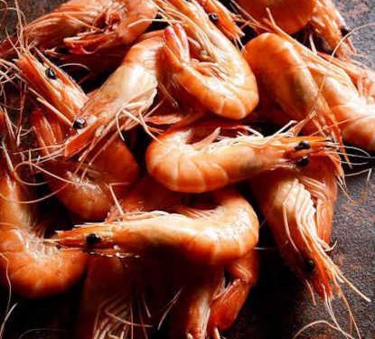 Crevettes en Tunisie : espèces exotiques, quels risques pour la santé ?