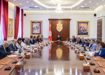 Tunisie : le gouvernement adopte de nouvelles mesures pour assurer la réussite de la campagne oléicole 2026-2027