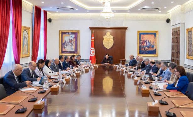 Tunisie : le gouvernement adopte de nouvelles mesures pour assurer la réussite de la campagne oléicole 2026-2027