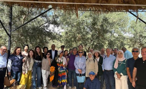 Sfax : un forum international pour promouvoir l’huile d’olive tunisienne à l’export