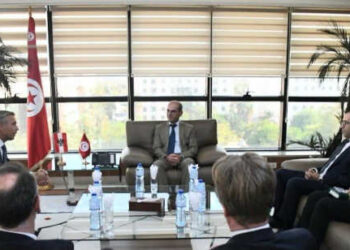 Tunisie-Autriche : de nouvelles perspectives de coopération dans l’industrie et l’énergie